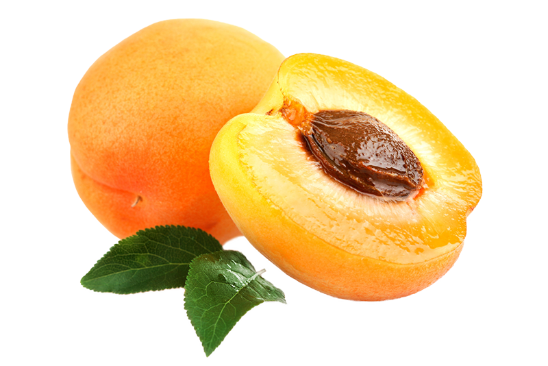 Apricot Oil