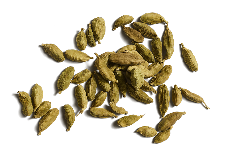 Cardamom