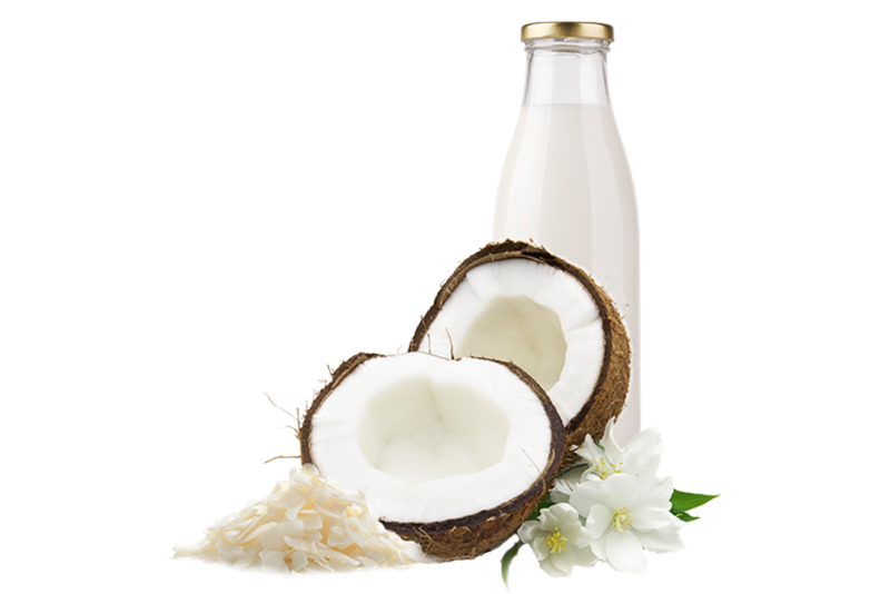 Coconut Milk