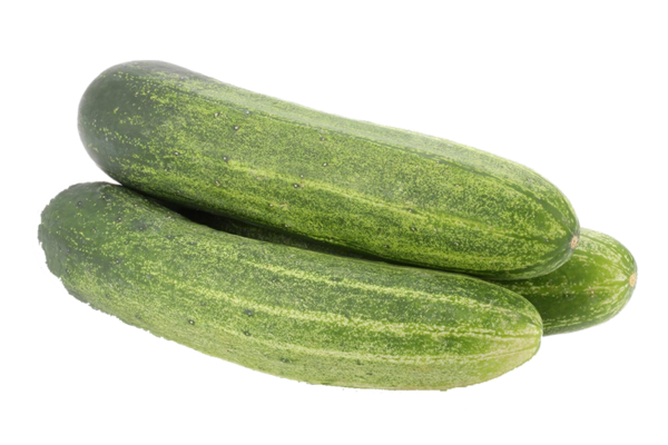 Cucumber