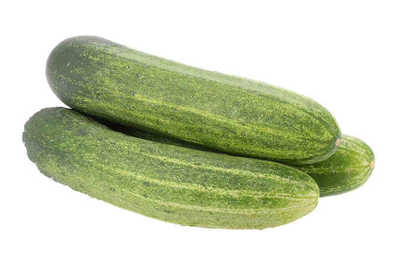 Cucumber