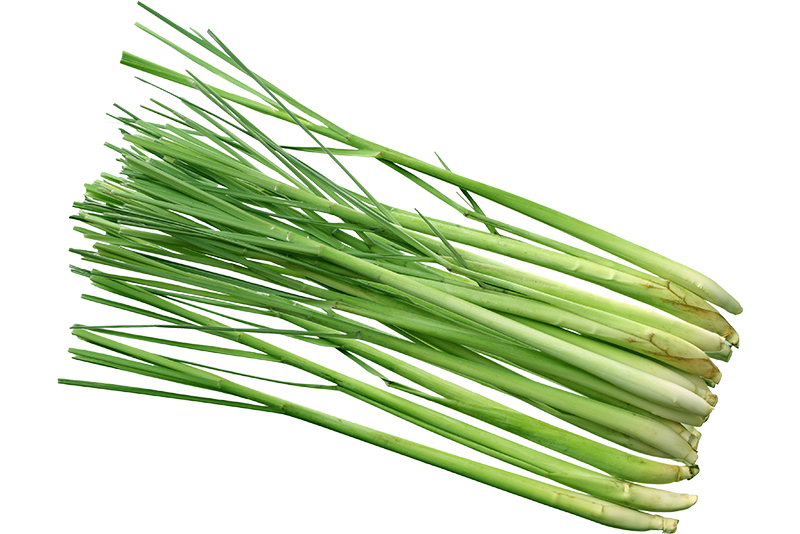 Lemongrass