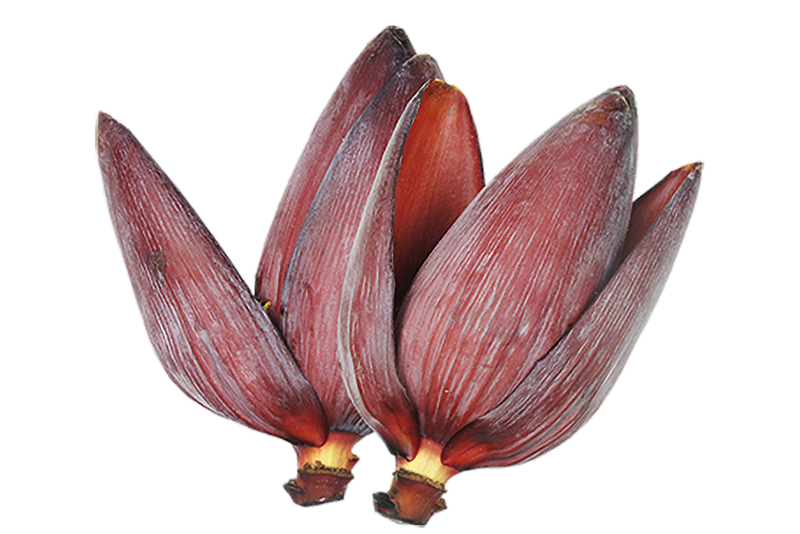 Red Banana Flower Extract