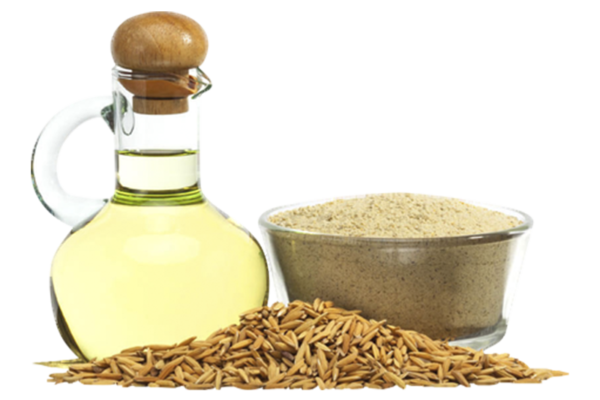 Rice Bran Oil