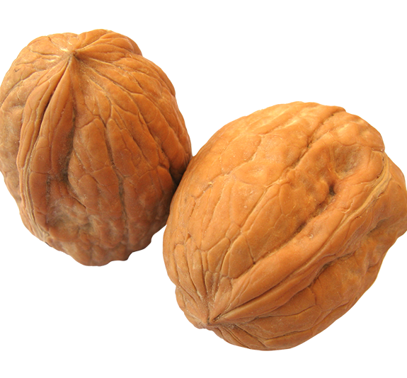 Walnut