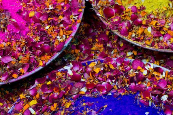 How To Prepare Natural Colours For The Festivities of Holi