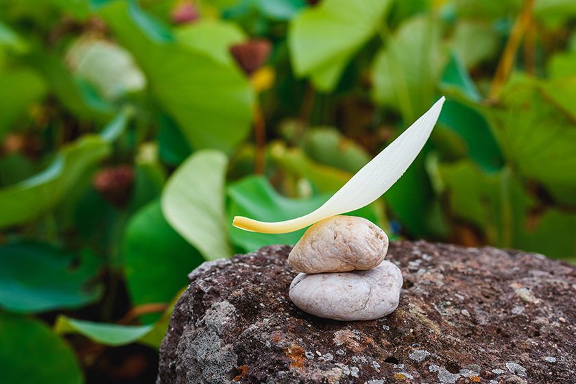 The Perfect Ayurvedic Skincare Routine for Every Dosha 4 Ayurvedic Skincare Tips for All Doshas