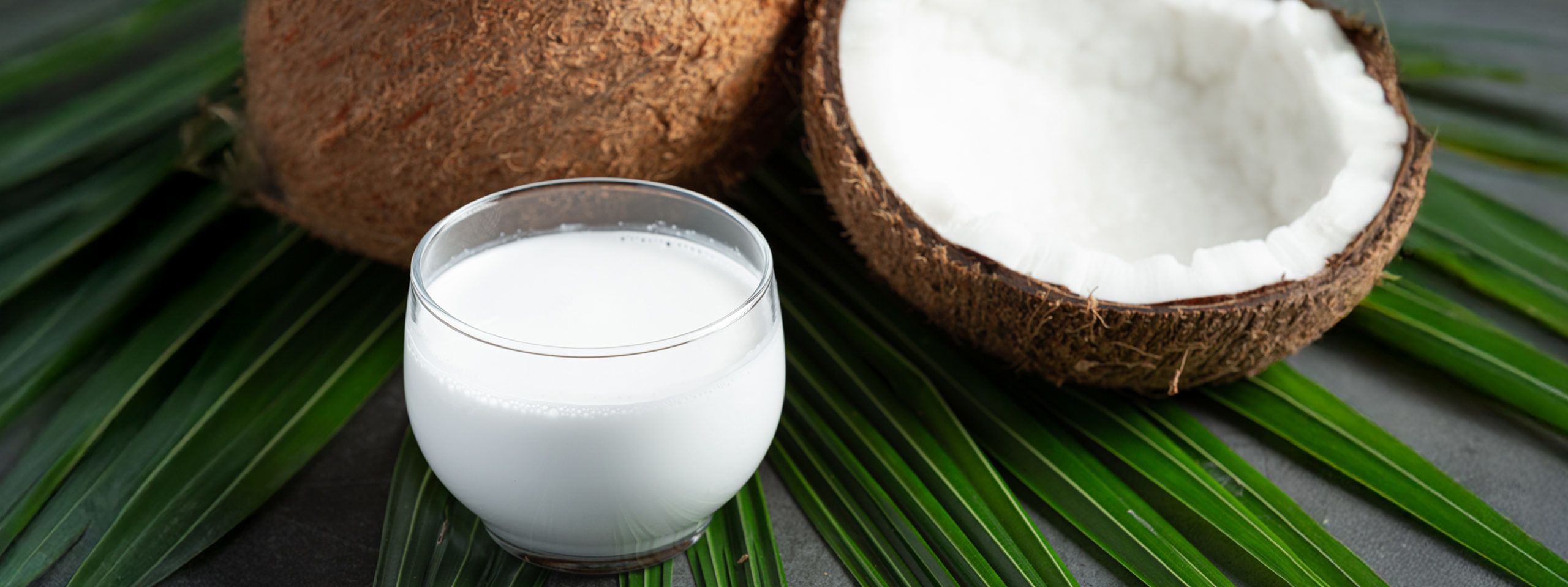 Coconut Milk Benefits for Skin, Hair, and Health
