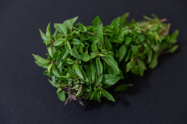 Holy Basil Benefits: Why This Herb Is a Skincare Essential
