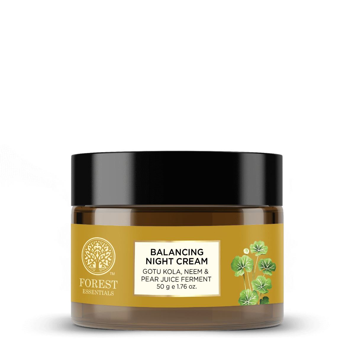 Balancing Night Cream with Gotu Kola, Neem & Pear Juice Ferment