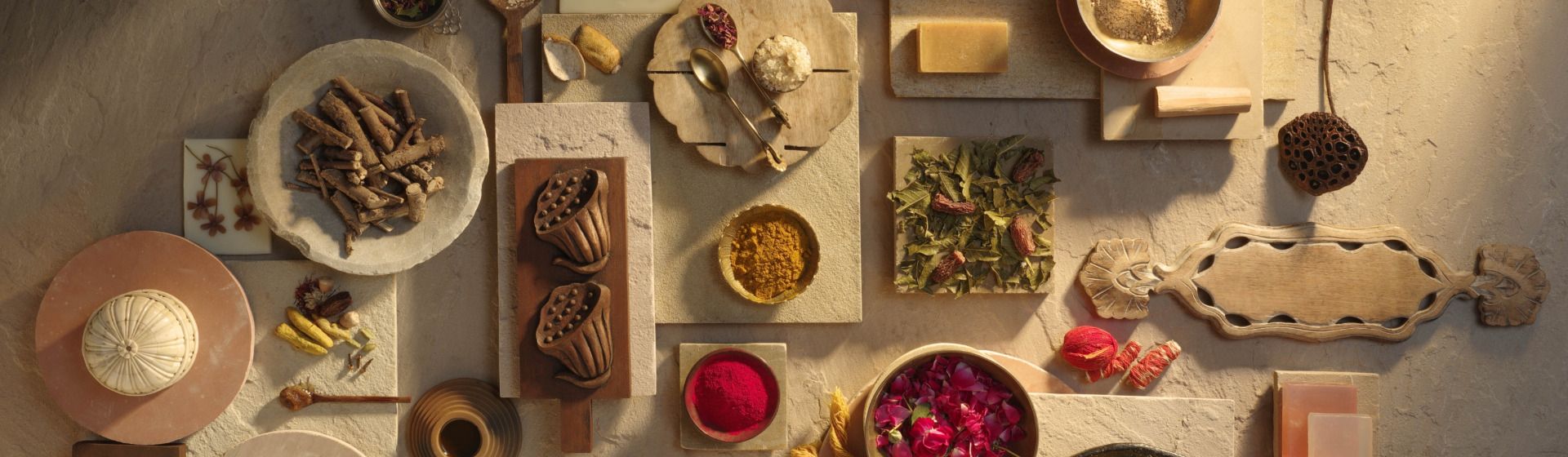 Discover Ayurveda