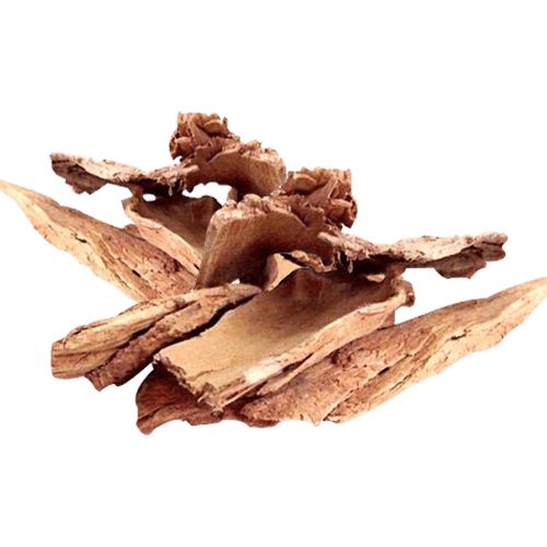 Arjuna Bark