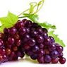 Grape Juice