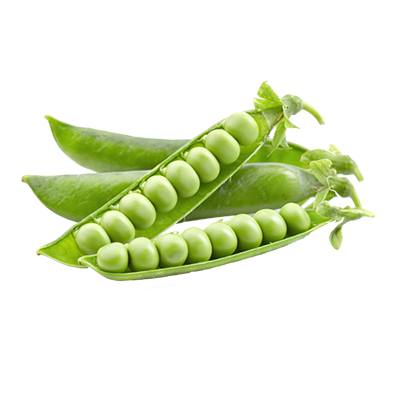 Hydrolyzed Pea Protein