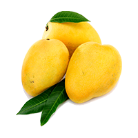 Mango Pulp
