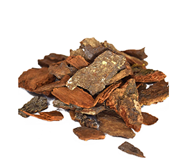 Padmaka Stem Bark Extract