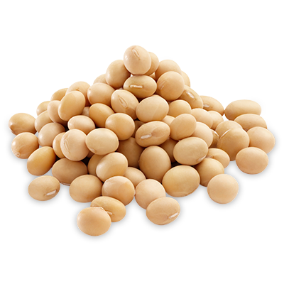 Soybean Seed Extract