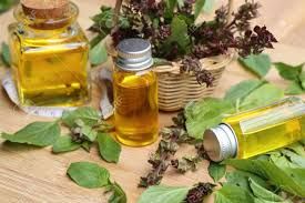 Holy Basil Essential Oil