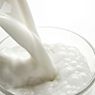 Cow's Milk