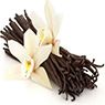 Vanilla