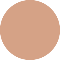 Som Rasa Silk Skin Tint Chandan