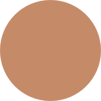 Som Rasa Silk Skin Tint Champa