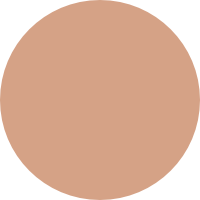 Som Rasa Silk Skin Tint Badami